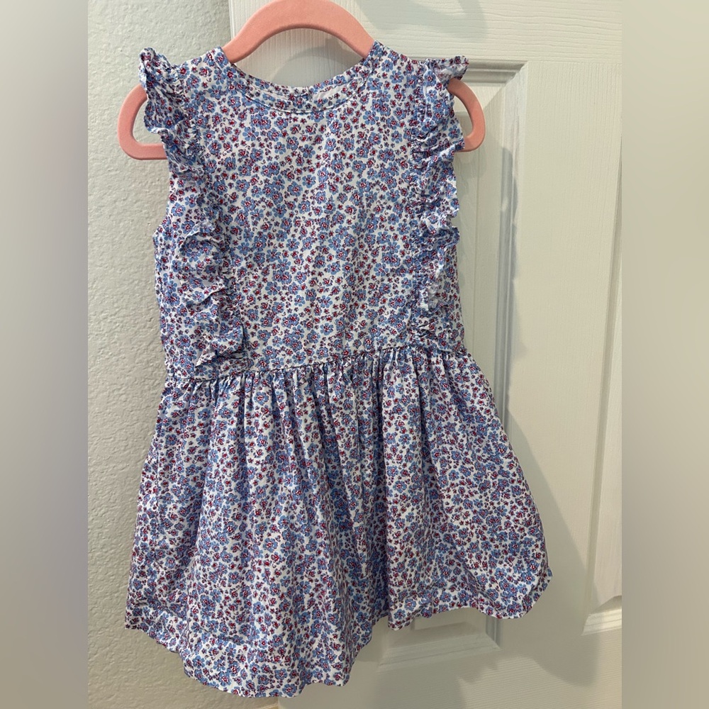 Cecil and Lou Floral Ruffle Kids Dress - Blue and Red